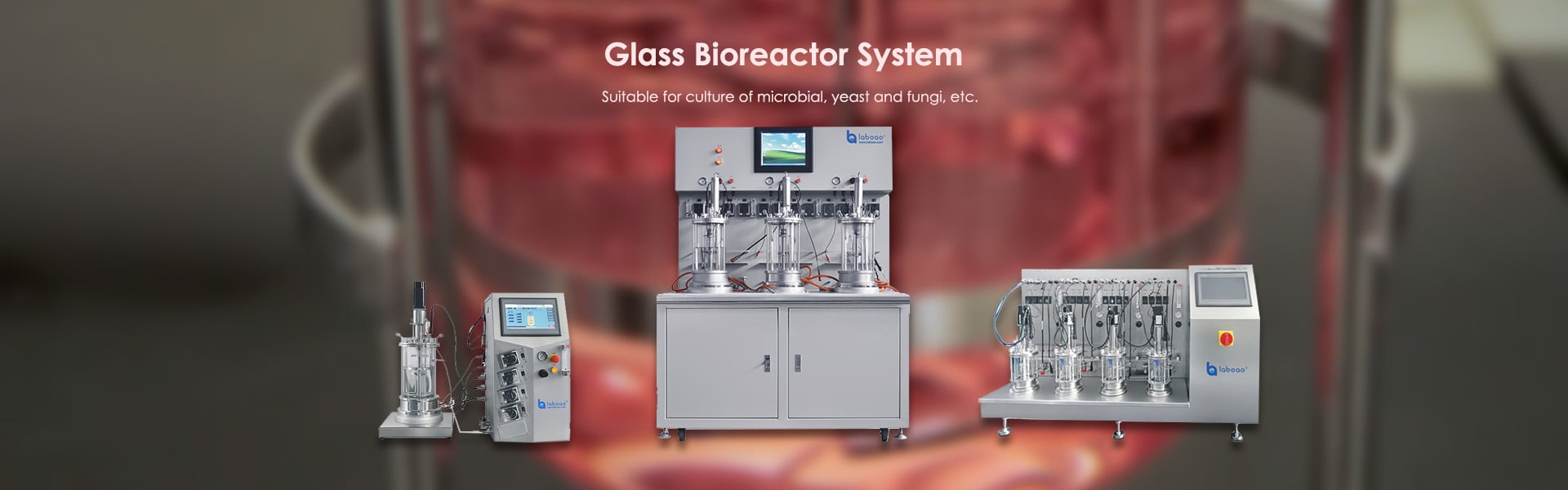 Glass Bioreactor Fermenter